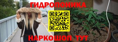 мяу мяу мука Тара