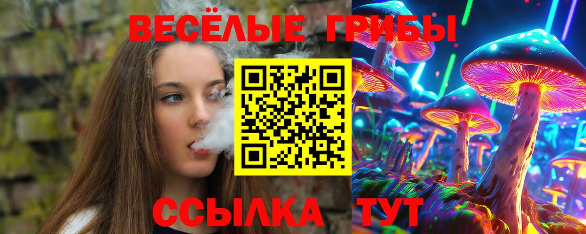 Галлюциногенные грибы мухоморы  Вход с VPN  Богданович 