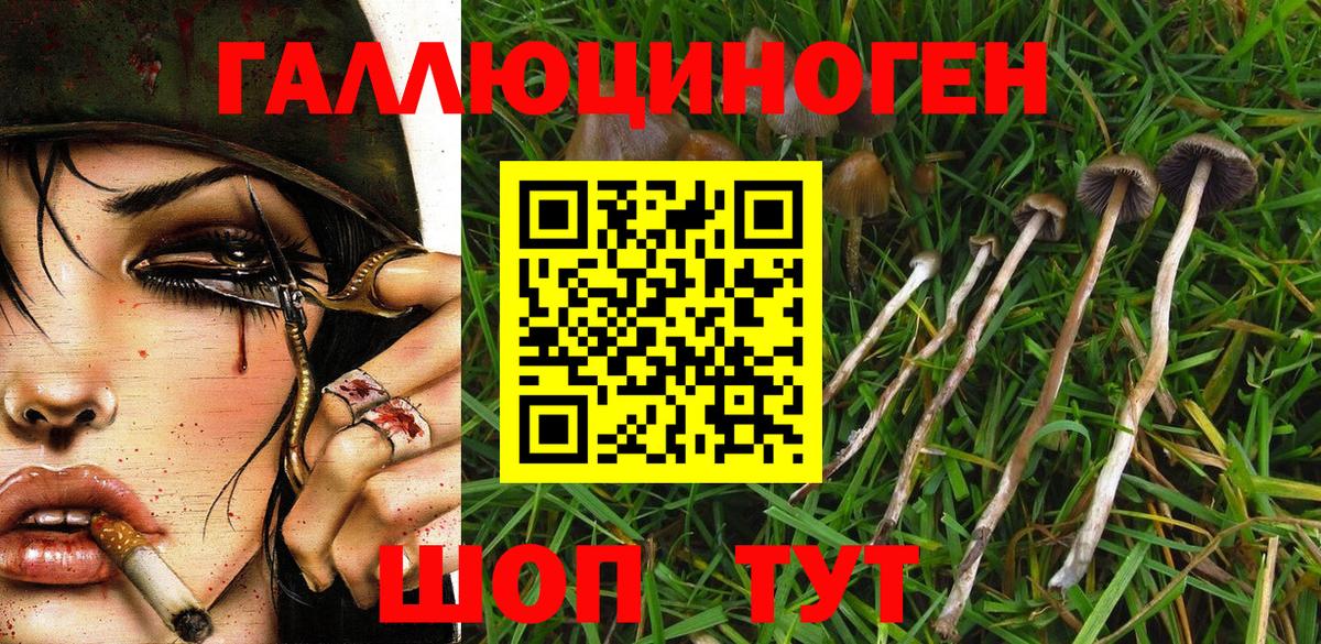 Псилоцибиновые грибы MAGIC MUSHROOMS Богданович